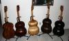 A famly of Lutars and a classical guitar (back)