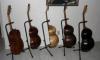 A famly of Lutars and a classical guitar(side)