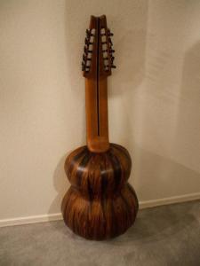 10 String Cocobolo Lutar, back view