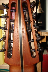 10 String Cocobolo Lutar head detail (back)